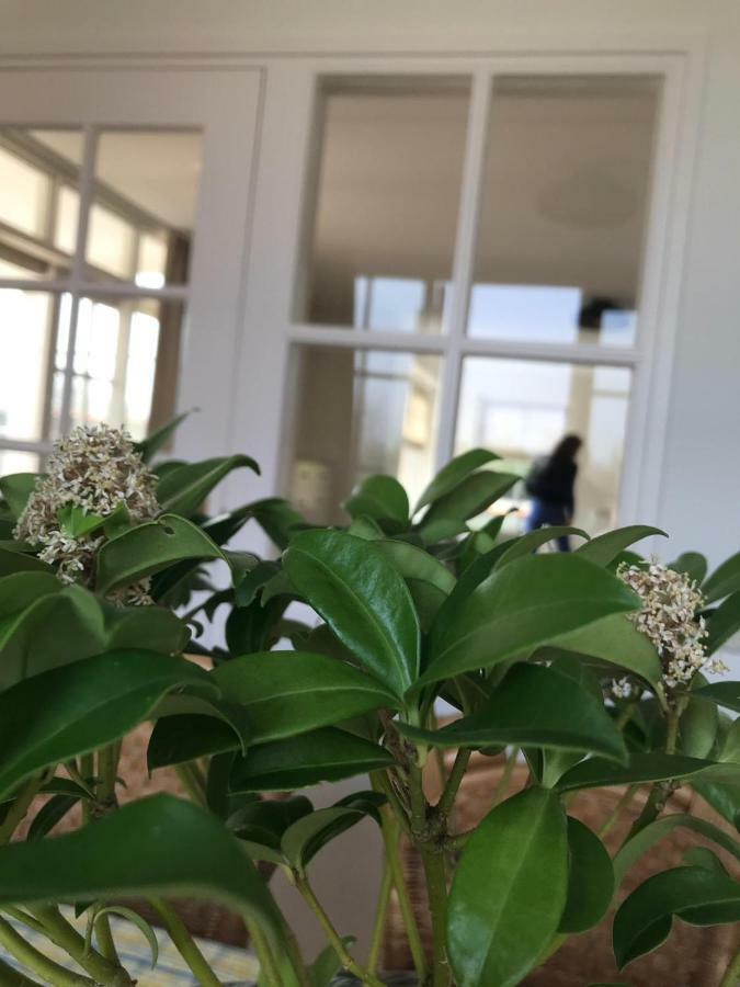 אוסטקאפלה Het Landhuis מראה חיצוני תמונה